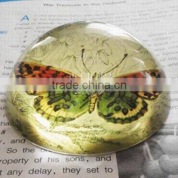 Precious Crystal glass Dome Paperweight shap-06