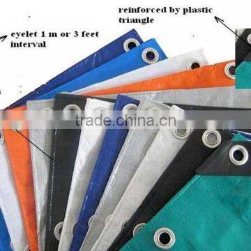 Awning Tarpaulin Car Cover , Tarpaulin Sheet , PE Plastic Tarp photo-4