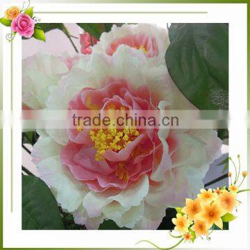 high quality mini peony flower