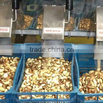 BRAZIL NUTS