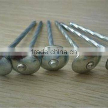 TUV certificated low price anping china factory manufacture pileus umbrella head twisted shank roofing nails corrugated nail