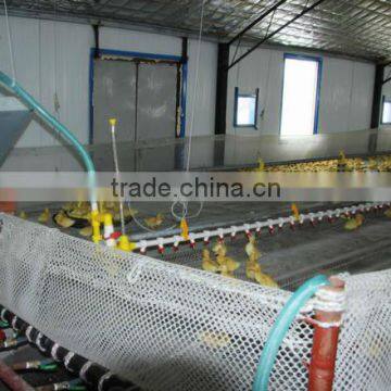 Plastic flat net for duck