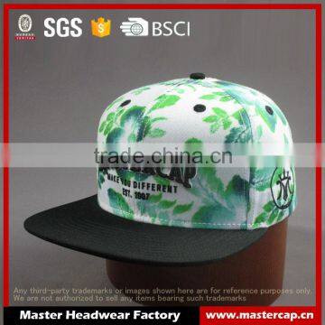 Customer high quality 6- panel snapback hat with 3D Embroidered Patch