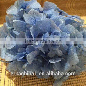 Preserved Flower Hydrangea Flower photo-4