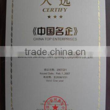 CHINA TOP ENTERPRISES