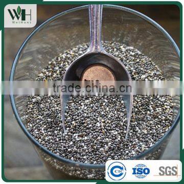 Latin America Organic Mixed Chia Seeeds photo-3