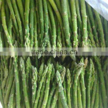 China IQF Frozen Green Asparagus in Bulk Packing