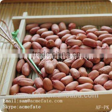 bold long type blanched red skin peanut kernels without shell