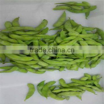 Chinese IQF & Frozen Edamame Beans