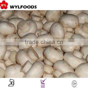 frozen Champignons cultivated mushrooms price