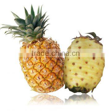 High Efficient Automatic Electric Pineapple Peeling Machine Pawpaw Skin Removing Machine Taro Peeler photo-2