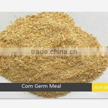 Corn Germ