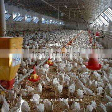 Poultry Farm Equipment For Chicken Feeder photo-3