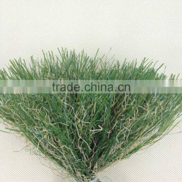 12000 D/16F PE & PP curl Artificial Grass Yarn for grass turf