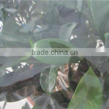 100% New Material UV Resistant Clear Plastic Protective Film for Agricultural photo-3