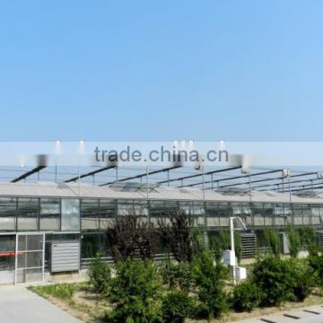 Aluminum frame Glass Greenhouse PC greenhouse with aluminum structure single span with automatic ventilation greenhouse