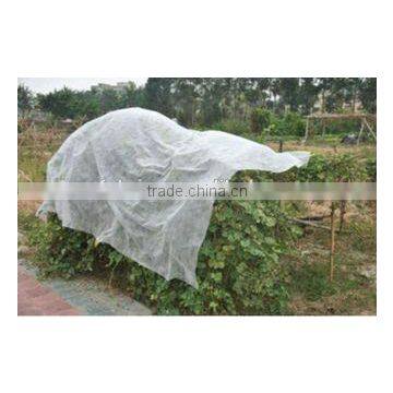 China Supplier pp Spunbond Nonwoven photo-2