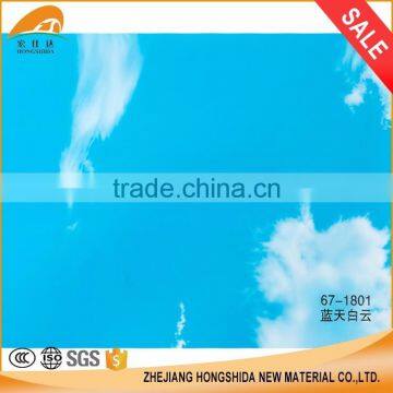 Mould-Proof Membrane Room Wallpaper Blue Sky Film Pvc photo-2