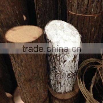 Decorative Tree Trunk Tree Log photo-3