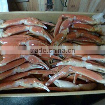 Delicious and High Quality Seafood Companies, Paid Samples Available photo-2