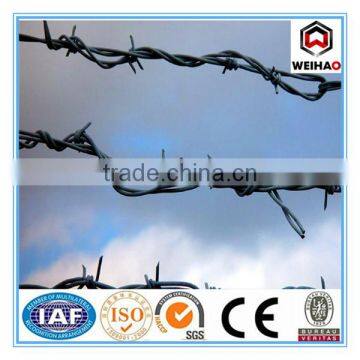 Anping Wei hao provide galvanized barbed wire/PVC barbed wire