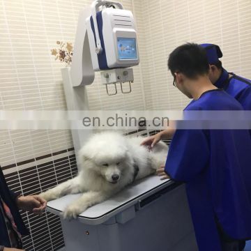 Touch Screen High Quality 5,6KW High Frequency Vet Digital Mobile Portable Veterinary  X-ray Machine price/vet x-ray equipment