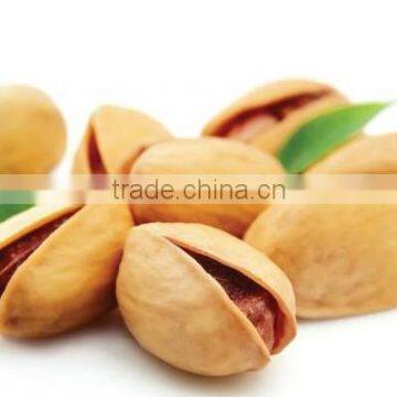 Pistachios Whole /Bulk Healthy Nut Green Kernel Piatachios for Sale