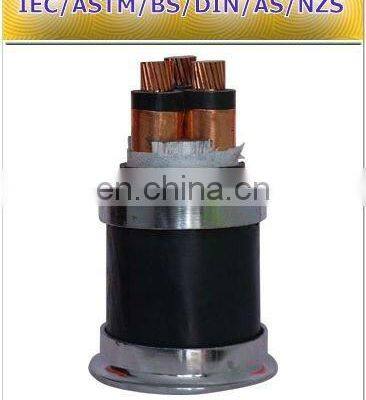 High Quality 1--15kv Xlpe Insulated High Voltage Power Cable photo-3