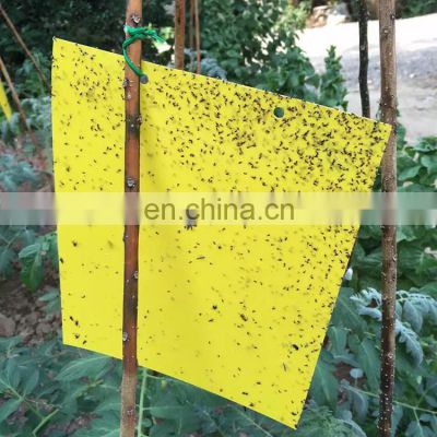 Double Sided Pheromone Glue Trap Kill Fruit Flies+ Killer Insect Fly Traps China Factory Promotion Competitive Price Yellow