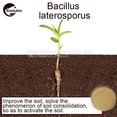 Bacillus Laterosporus photo-5