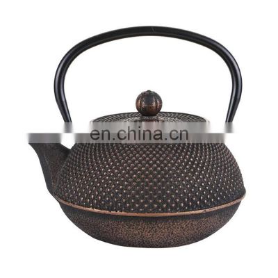 Custom Logo Print Mould With Handle Portable New Design Reusable Teapot