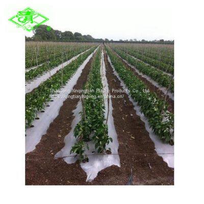Factory Direct Sales of Silver Shine Plastic Mulch Films photo-3