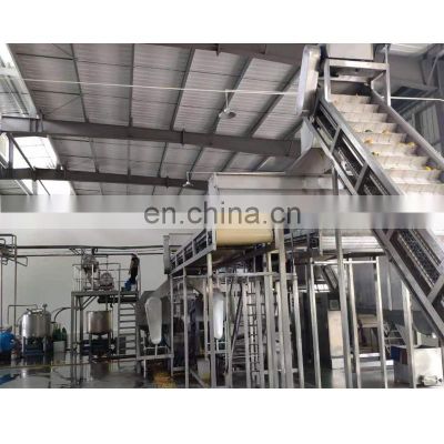 passion fruit and dragon fruit juice processing machine