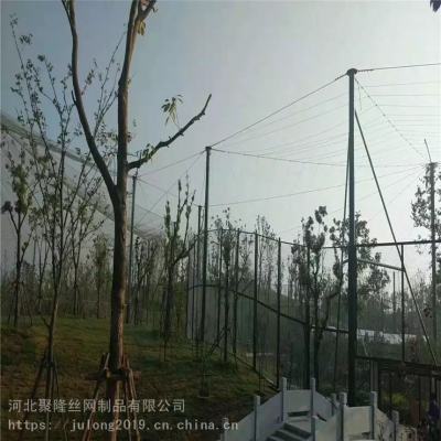 Factory Sale 304 316 Flexible Stainless Steel Wire Rope Bird Netting Fence Zoo Aviary Parrot Mesh