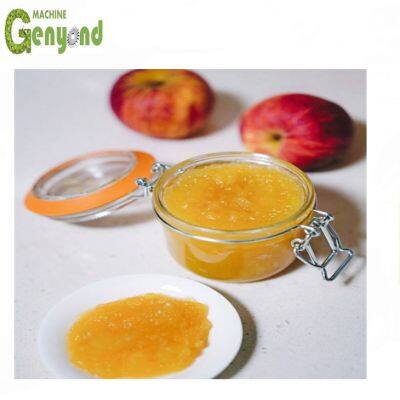 Полностью сконцентрированные аппараты для приготовления яблочного пюре для переработки фруктов и овощей