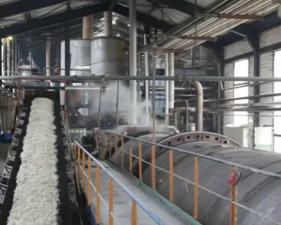 Sugar Plant From Sugar Beet photo-6