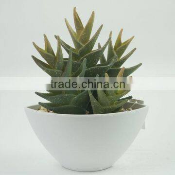 Cheap Wholesale Artificial Bonsai Artificial Cactus for Decoraton photo-2