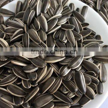 different type of seeds sunflower seeds for human consumption