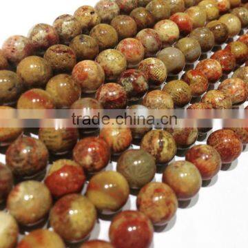 Wholesale A Grade Smooth Polished Natural Fossilized Coral Stone Round Beads photo-2