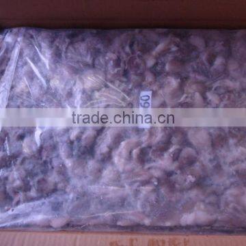 Frozen Octopus photo-2