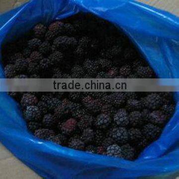 IQF FROZEN BLACKBERRY