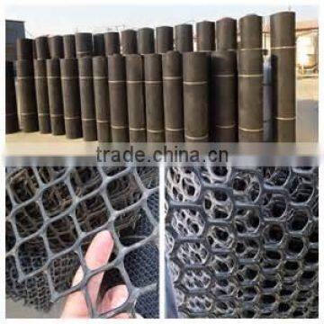 Mutiple-purpose Plastic Mesh/diamond &square Mesh