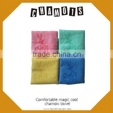 dog products hair dries towel pva drying towel