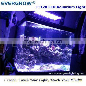 EverGrow IT2040 16" blue moon led aquarium light