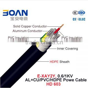 E-Xay2y Power Cable 0.6/1Kv Al+Cu/PVC/PVC HD 603