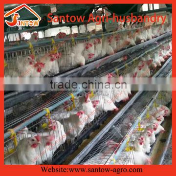 Best price chicken layer broiler poultry shed cage design