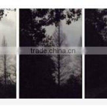 Professional 55mm 58mm ND Fader Neutral Density Filter 55mm ND2 to ND400 Adjustable Variable Filter for Canon Nikon Olympus DSLR