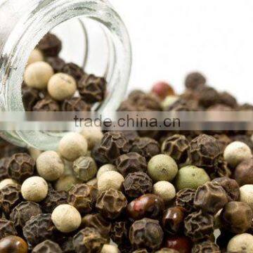 high quality dried black pepper