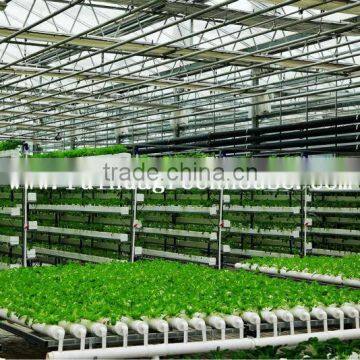 Vegetable-growing Greenhouse-commercial Greenhouses photo-4