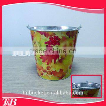 metal hanging flower bucket,promote coolers